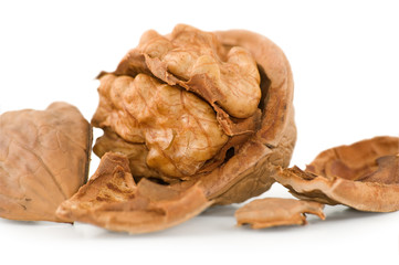 Walnut