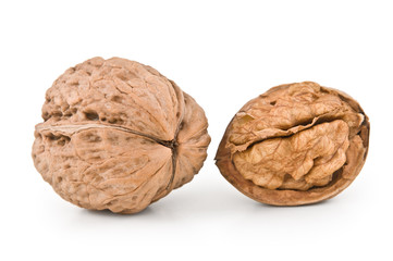Walnut