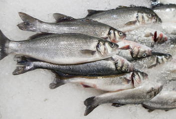 fresh fish on ice at market