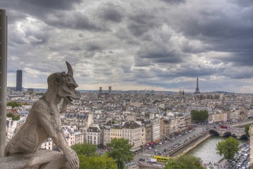 I Gargoyle di Notre Dame - Parigi