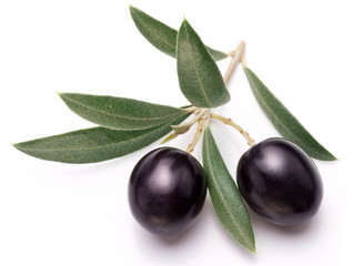 Ripe black olives with leaves.