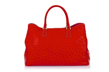 Elegant woman bag isolated on white