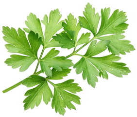 Parsley.