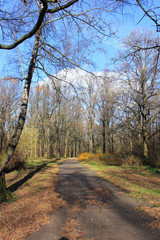 Fototapeta premium shadow on the walk