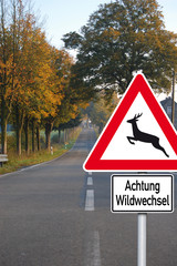 Straße mit Schild Wildwechsel