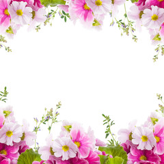 A spring primrose is in a bouquet, floral background