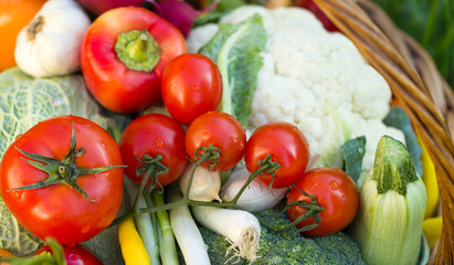 Fresh vegetables