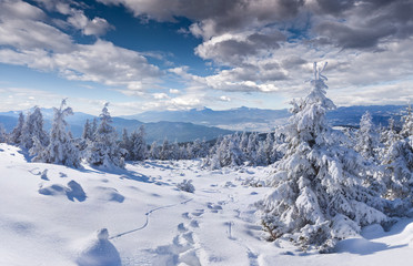 Panorama of the  winter landscape in the mountains