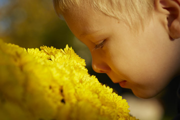 Beautiful young boy, yellow flowers