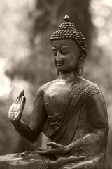 Buddha