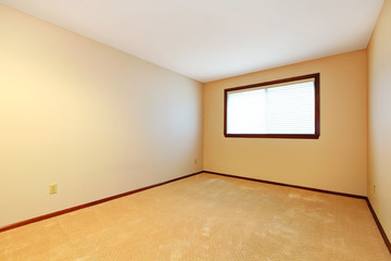 Empty room with beige carpet and window.