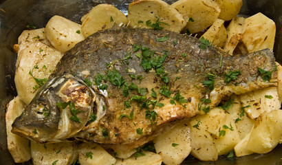 baked fish and potatoes
