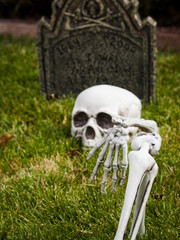 Halloween decorations