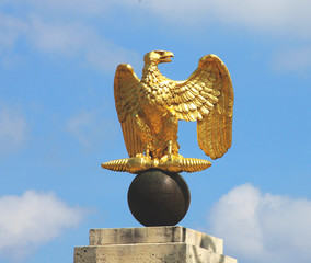 Golden Napoleon Eagle