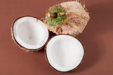two halfs of coconut  with shadow