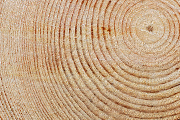 Fototapeta premium Wooden texture