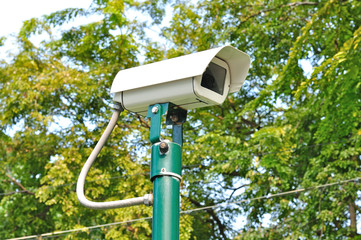Security Camera or CCTV in green park - 46269572
