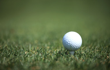 golf ball on green