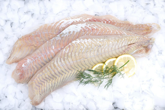 Seelachsfilet