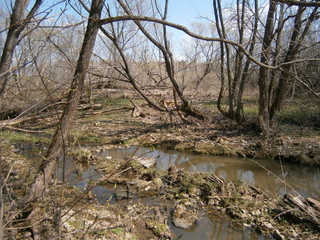 весенняя река