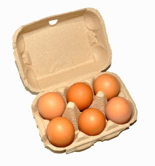 Six Chicken Eggs In Carton