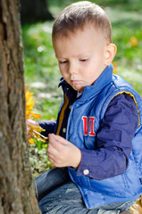 Engrossed little boy looking at an insect
