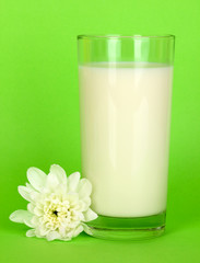 Obraz na płótnie Canvas Glass of fresh new milk with white flower on green background
