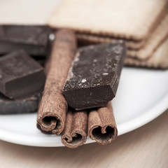 Cinnamon Sticks with chocolate