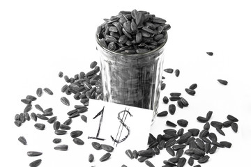 seeds on the white background