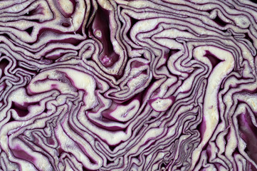 Red cabbage