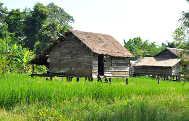 village house on stilts in cambodia