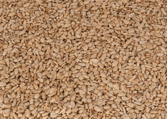 Sunflower seed as texture