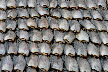 fresh fish at the market