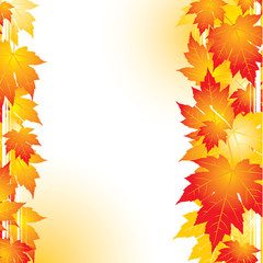 Autumn, vector