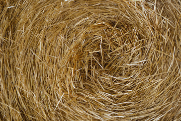 Hay close up