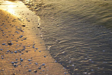 Sea meets land