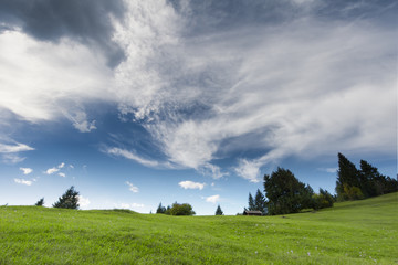 idyllic mountain meadow with clouds and trees at autumn