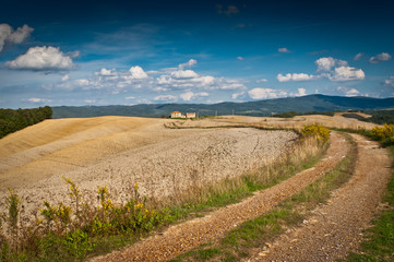 Fototapeta na wymiar Krajobraz Toscana