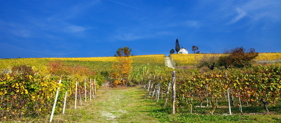 Autunno nelle Langhe, Italia