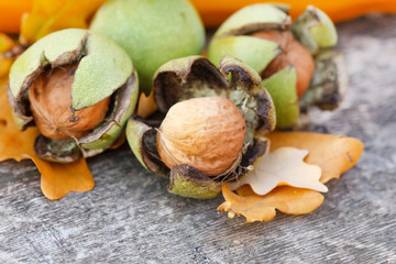 Autumn Pumpkin and Leaves