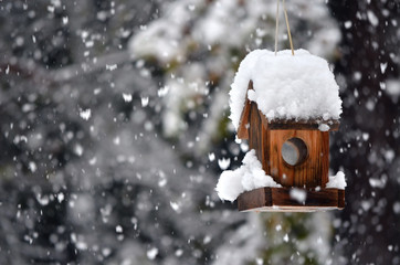Naklejka premium Bird house in winter