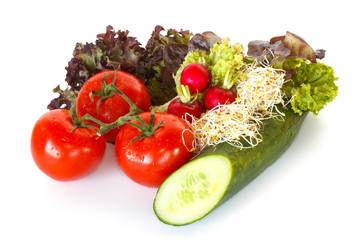 Lettuce, tomatoes, radishes, cucumber and alfalfa