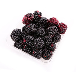 blackberry fruit in plastic box isolated on white