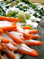 Snow Carrots