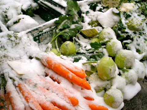 Farmer's Market Snow
