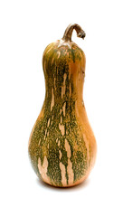 Pumkin isolated on white background