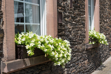 Ancient house with window-sills and  flower pots