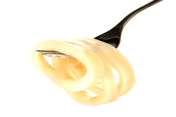 boiled squid rings on the fork on white background close-up