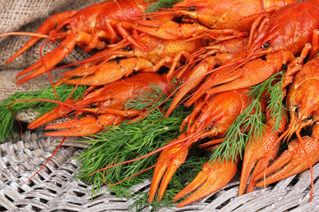 Tasty boiled crayfishes with fennel