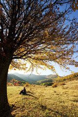 Colorful autumn tree  with woman sitting